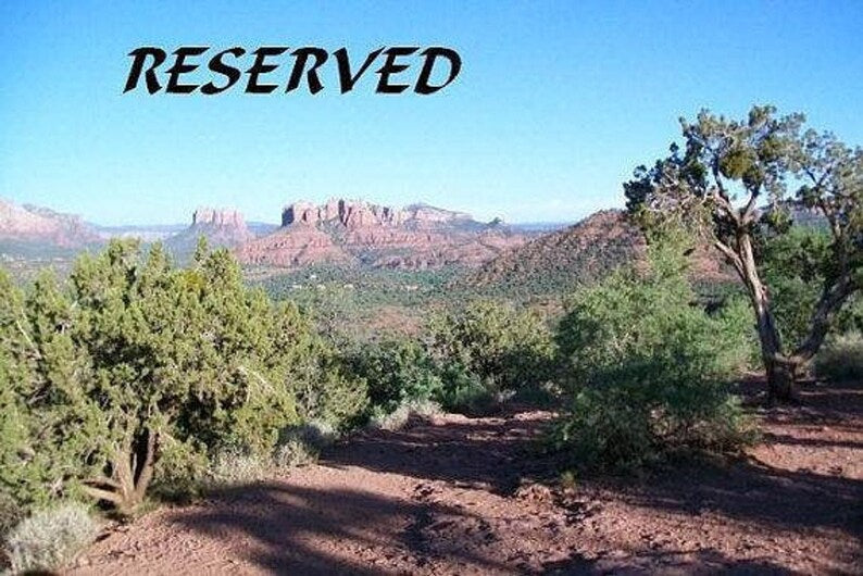 Reserved for Jean, custom leather tote