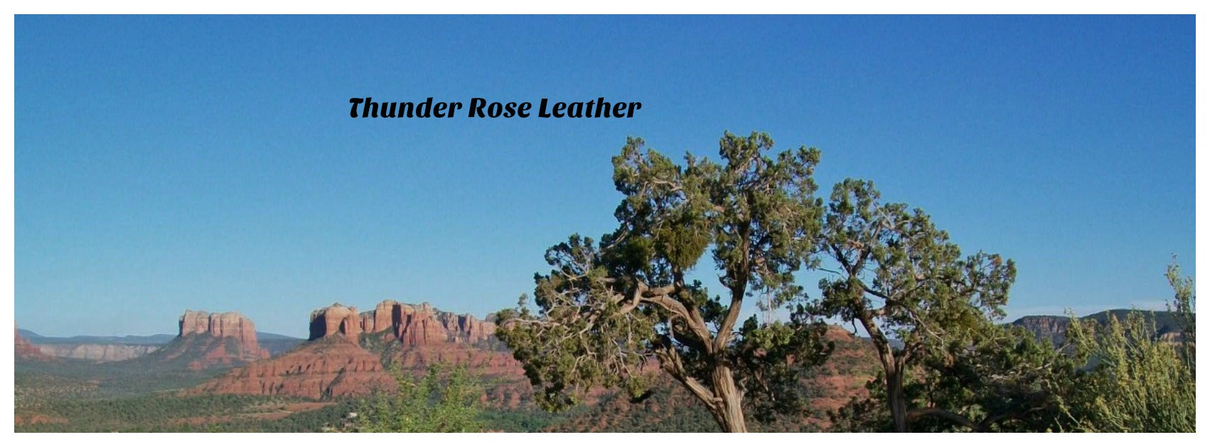 Leather laces and scraps – Thunder Rose Leather